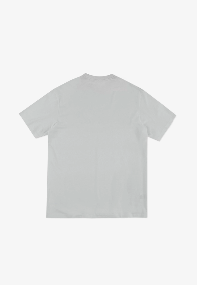 Koszulka męska t-shirt Prosto Collage szara