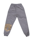 Spodnie dresowe dziecięce Street Autonomy Beasa grey/gold