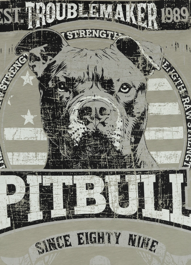 Koszulka męska T-Shirt Pit Bull Pitbull Troublemaker dusty salvia