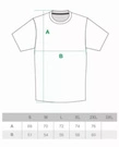 Koszulka męska T-shirt Ciemna Strefa Laur czarna/szara