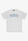 Koszulka męska t-shirt Prosto College szara