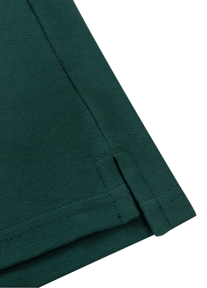 Bluza męska Pitbull Pit Bull Pique Rockey hooded zielona