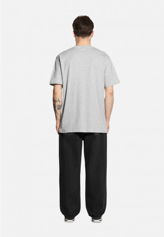 Koszulka męska t-shirt Prosto College szara