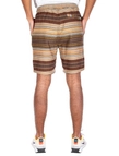 Spodenki Iriedaily Szorty Santo brown