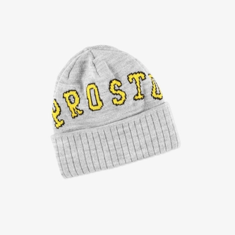 Czapka zimowa Prosto Klasyk Teamo szara