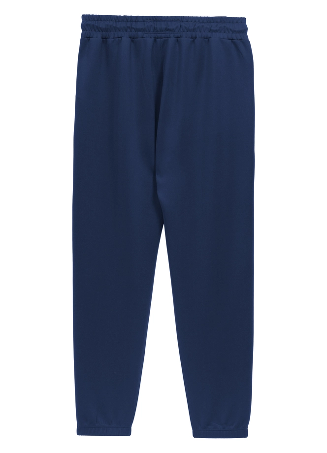 Spodnie męskie dresowe Pitbull Pit Bull Powers niebieskie