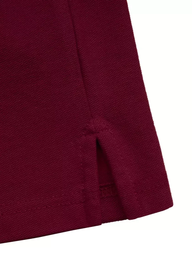 Koszulka męska Polo Pit Bull Logo Stripes Regular Pitbull Pique bordowa