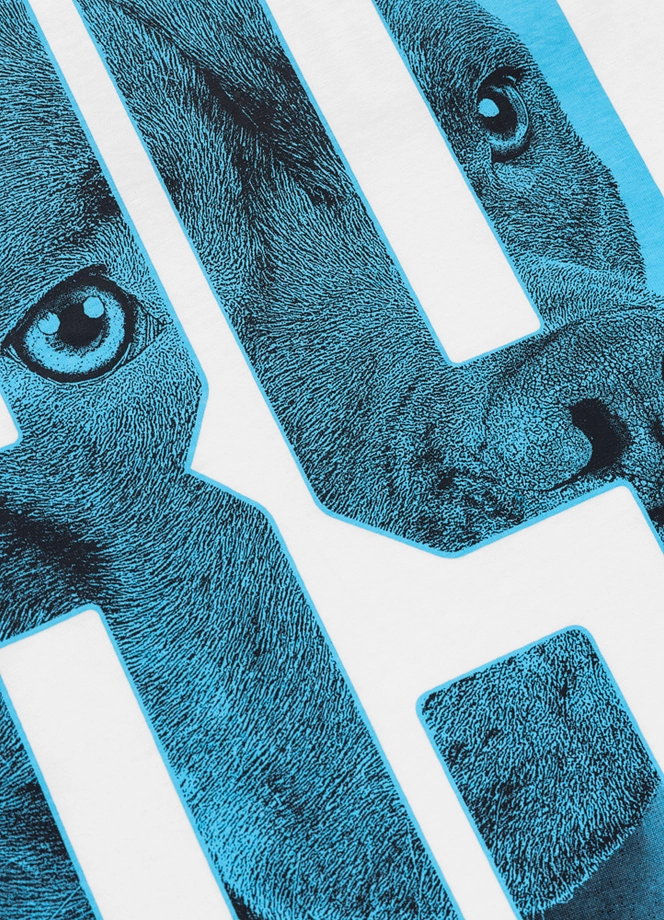 Koszulka męska T-Shirt Pitbull Eighty Nine Dog biała
