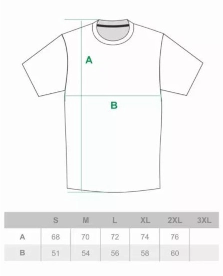 Koszulka męska T-shirt Ciemna Strefa Laur czarna/szara