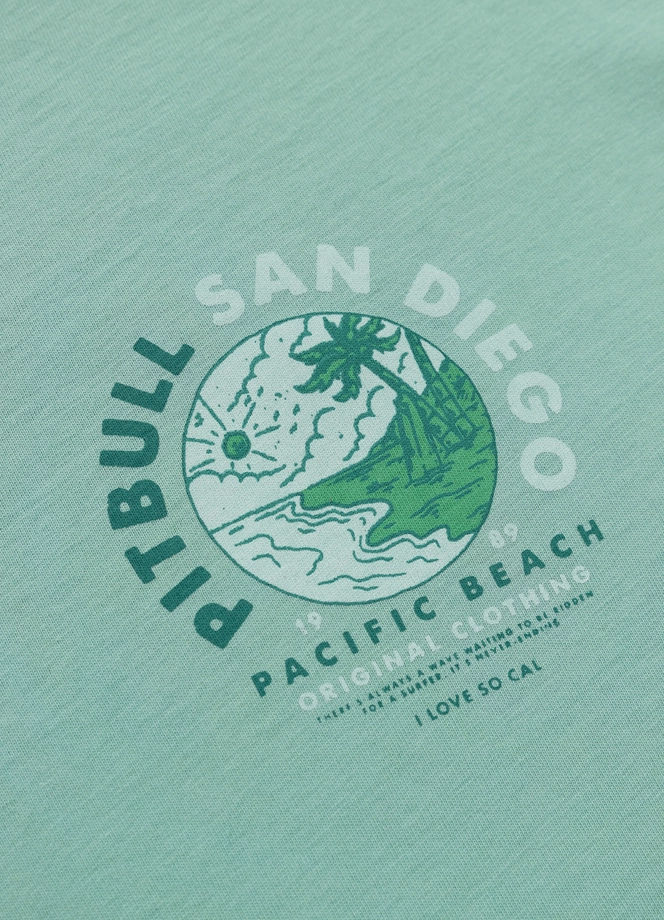 Koszulka damska T-shirt oversize Pit Bull Planet Surf miętowa