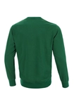 Bluza męska Pitbull Pit Bull Tricot Carson crewneck zielona