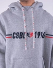 Bluza z kapturem Cayler & Sons Insignia Box Hoody grey