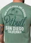 Koszulka męska T-Shirt Pit Bull Pitbull San Diego Born miętowa zielona