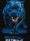 Bluza męska Pitbull Pit Bull In Blue crewneck czarna