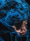 Bluza męska z kapturem Pitbull Pit Bull In Blue hooded czarna