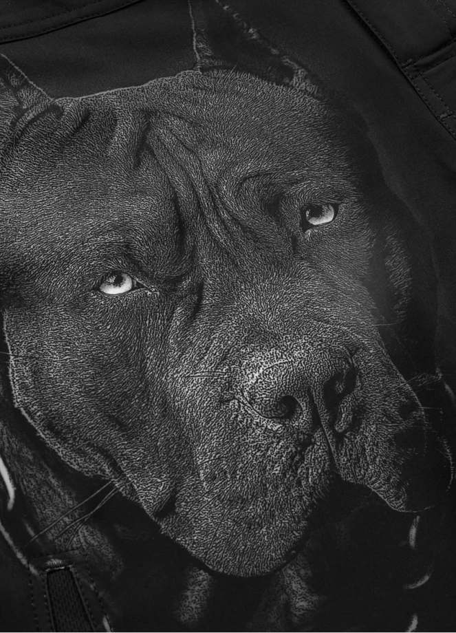 Spodenki męskie treningowe Pitbull Pit Bull Grappling Shorts Born In 1989 czarne