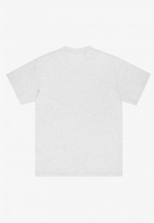 Koszulka męska t-shirt Prosto Base szara