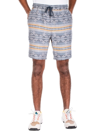 Spodenki Iriedaily Szorty Vintachi grey