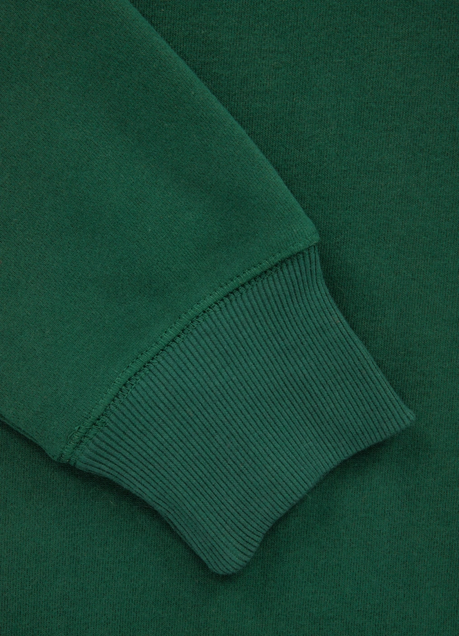 Bluza męska Pitbull Pit Bull Sherwood 24 crewneck zielona