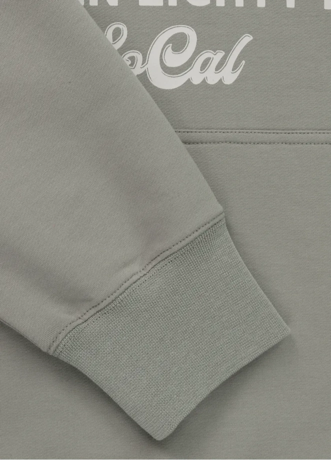 Bluza męska z kapturem Pitbull Pit Bull Surfing Dog dusty salvia