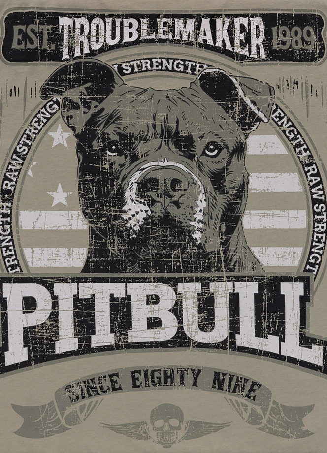 Koszulka męska T-Shirt Pitbull Troublemaker grey harbour