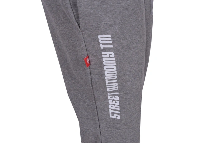 Spodnie dresowe damskie Street Autonomy Beasa grey/white