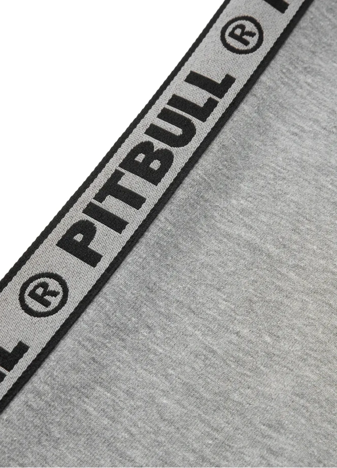 Bluza dziecięca Pit Bull Dandrige Hooded Pitbull szara