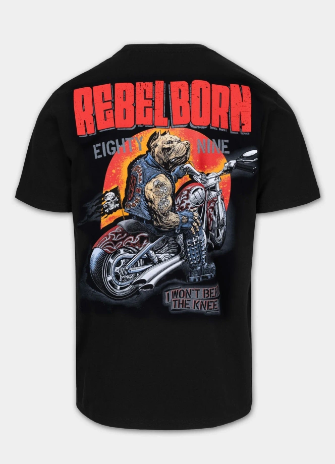 Koszulka męska T-Shirt Pit Bull Rebel Born czarna