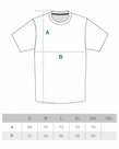Koszulka męska T-shirt Ciemna Strefa Herb Broken Glass