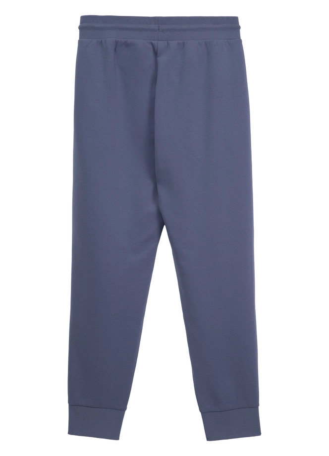 Spodnie męskie dresowe Pitbull Pit Bull Sampson niebieskie