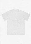 Koszulka męska t-shirt Prosto Base szara