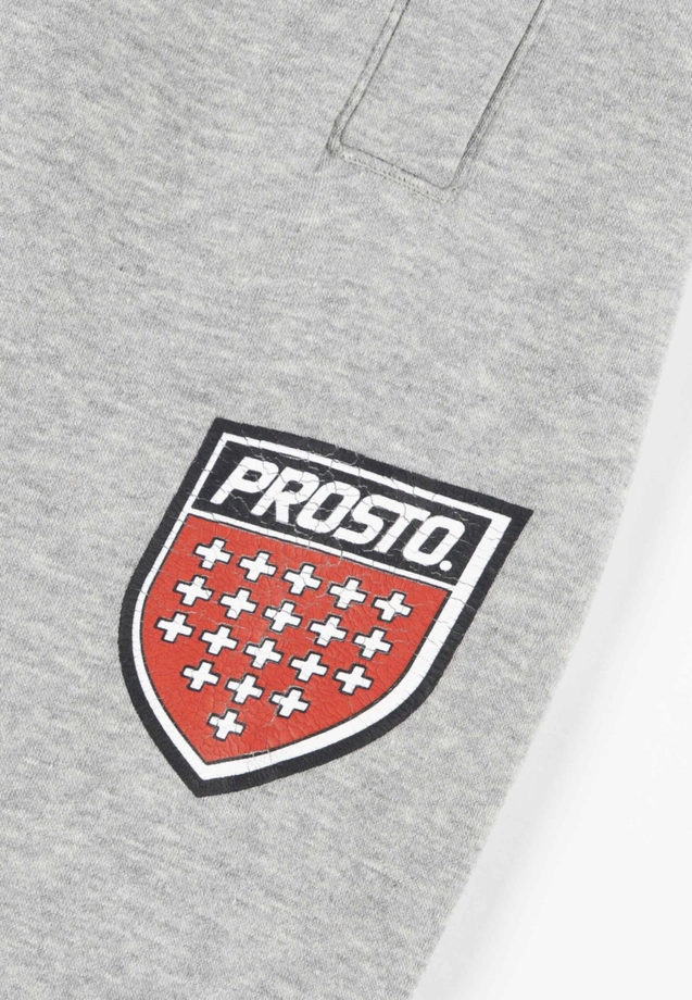 Spodnie dresowe męskie oversize Prosto Infine szare