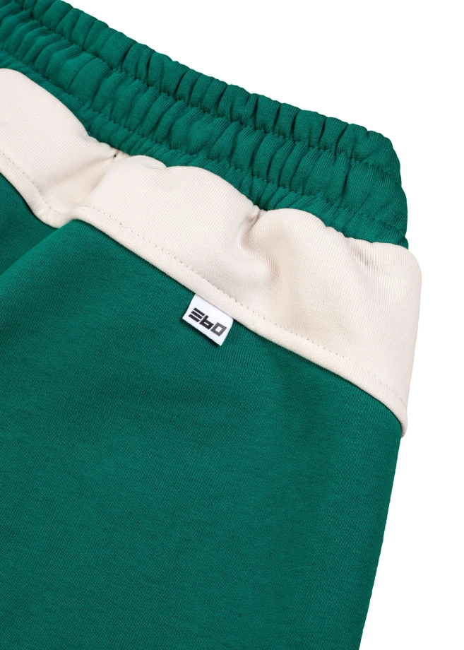 Spodenki męskie dresowe 360 CLTH 36 zielone