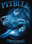 Bluza męska bez kaptura Pit Bull Midnight czarna
