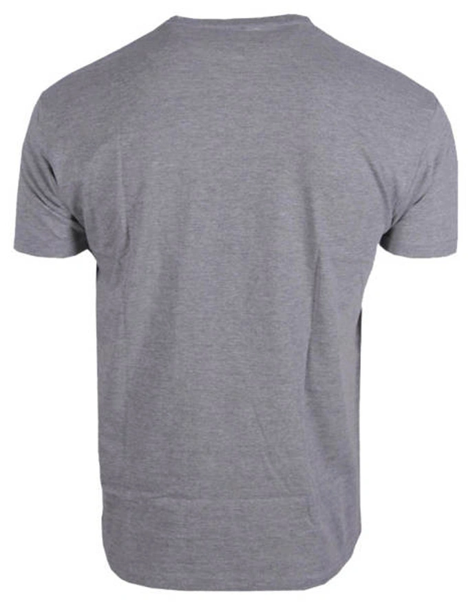 Koszulka T-shirt MARVEL Logo grey