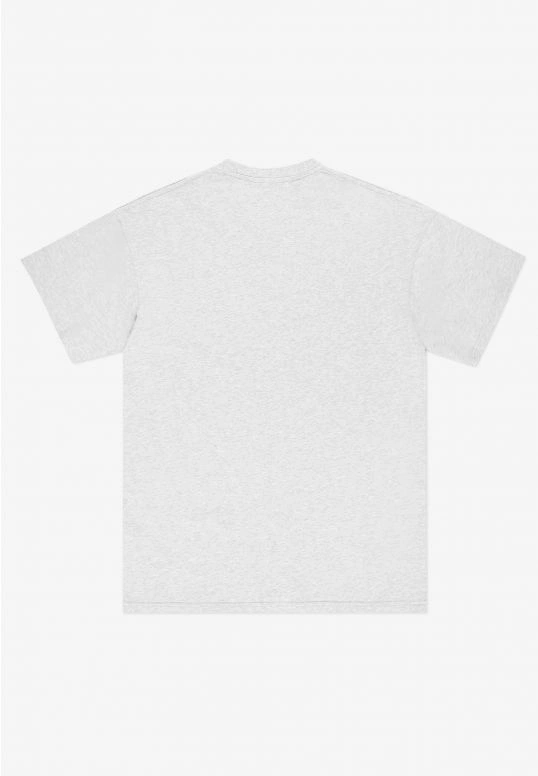 Koszulka męska t-shirt Prosto Base szara