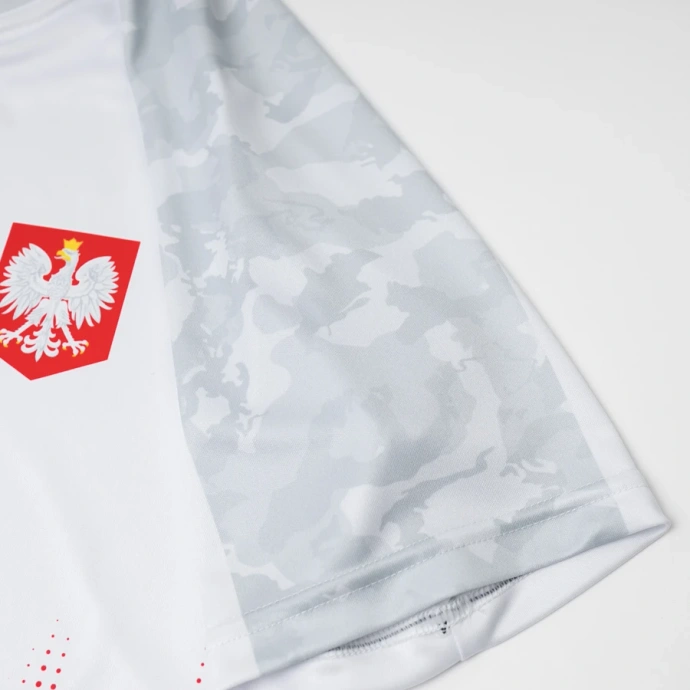 Koszulka męska T-shirt Patriotic Cls Poland biało/czerwona