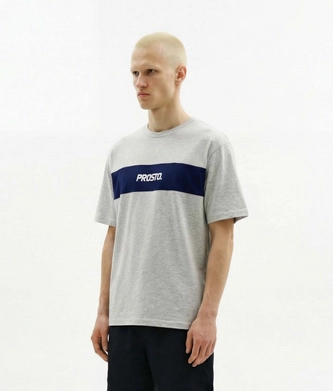 Koszulka męska t-shirt Prosto Root szaro/granatowa