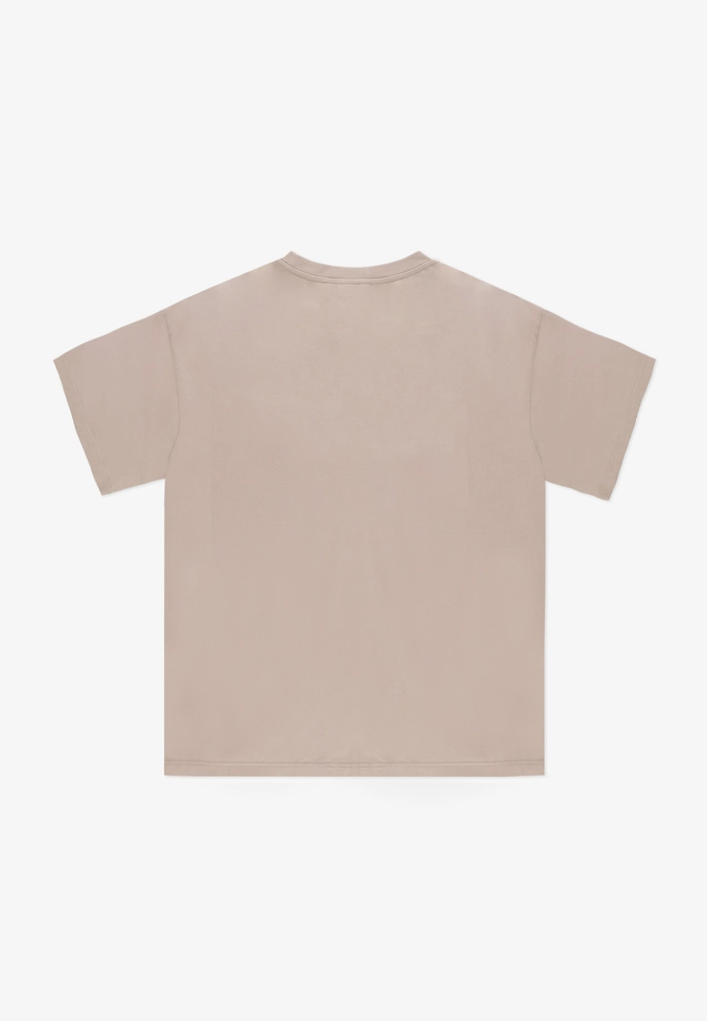 Koszulka męska t-shirt Prosto Team beżowa