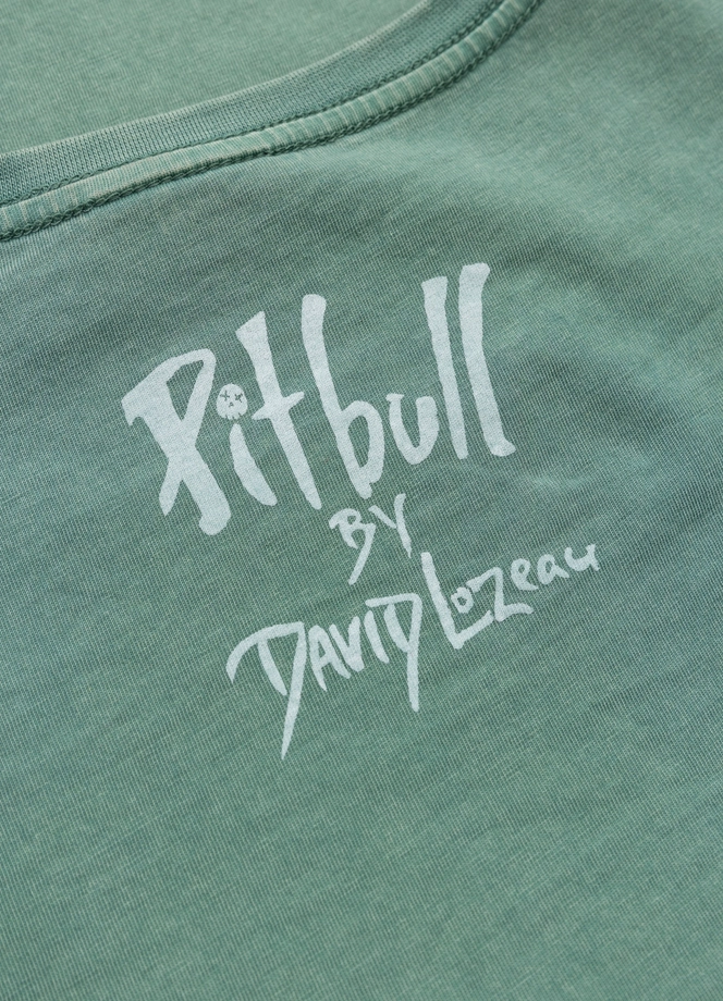 Koszulka damska T-shirt Pit Bull CruisinAndBoozin miętowy zielony