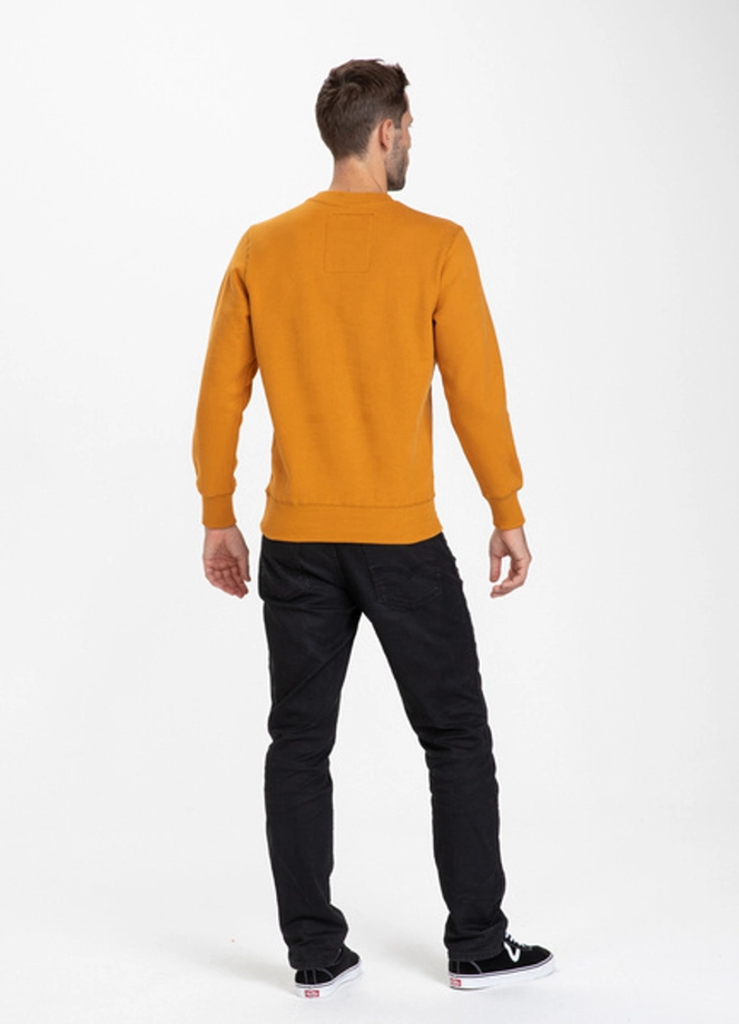 Bluza bez kaptura Pitbull TNT crewneck honey yellow