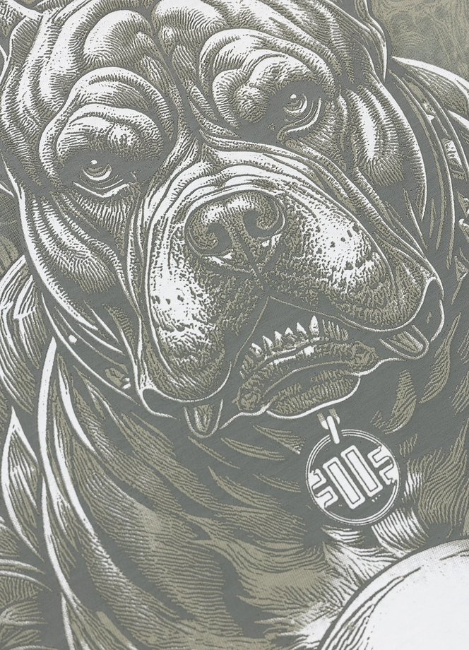 Koszulka męska T-Shirt Pitbull West Coast Guardian Angel dusty salvia