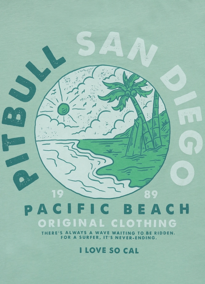 Koszulka męska T-Shirt Pit Bull Pitbull Planet Surf miętowa