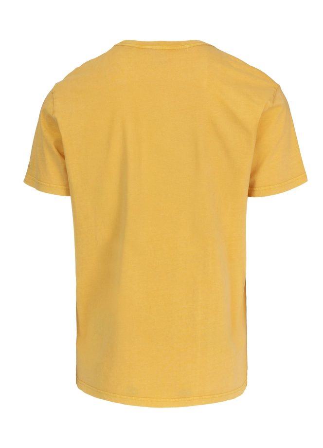 Koszulka męska T-Shirt Pit Bull Pitbull Open Beach sprany żółty