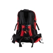 Plecak sportowy Pitbull Sports backpack czerwony