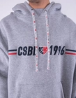 Bluza z kapturem Cayler & Sons Insignia Box Hoody grey
