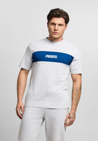 Koszulka męska t-shirt Prosto Root szaro/granatowa
