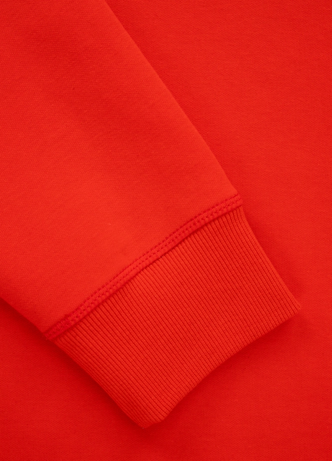 Bluza męska Pitbull Pit Bull Beyer 24 crewneck czerwona