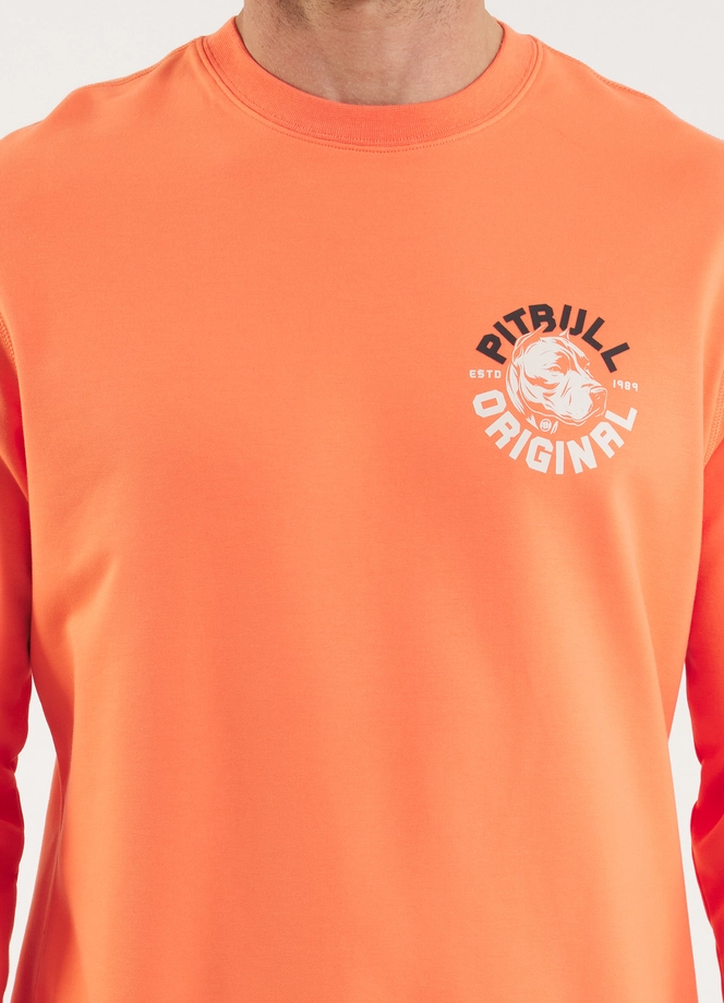 Bluza męska bez kaptura Pitbull Pit Bull Dog SD łososiowa pomarańczowa