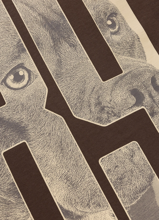 Koszulka męska T-Shirt Pitbull Eighty Nine Dog ciemno brązowa